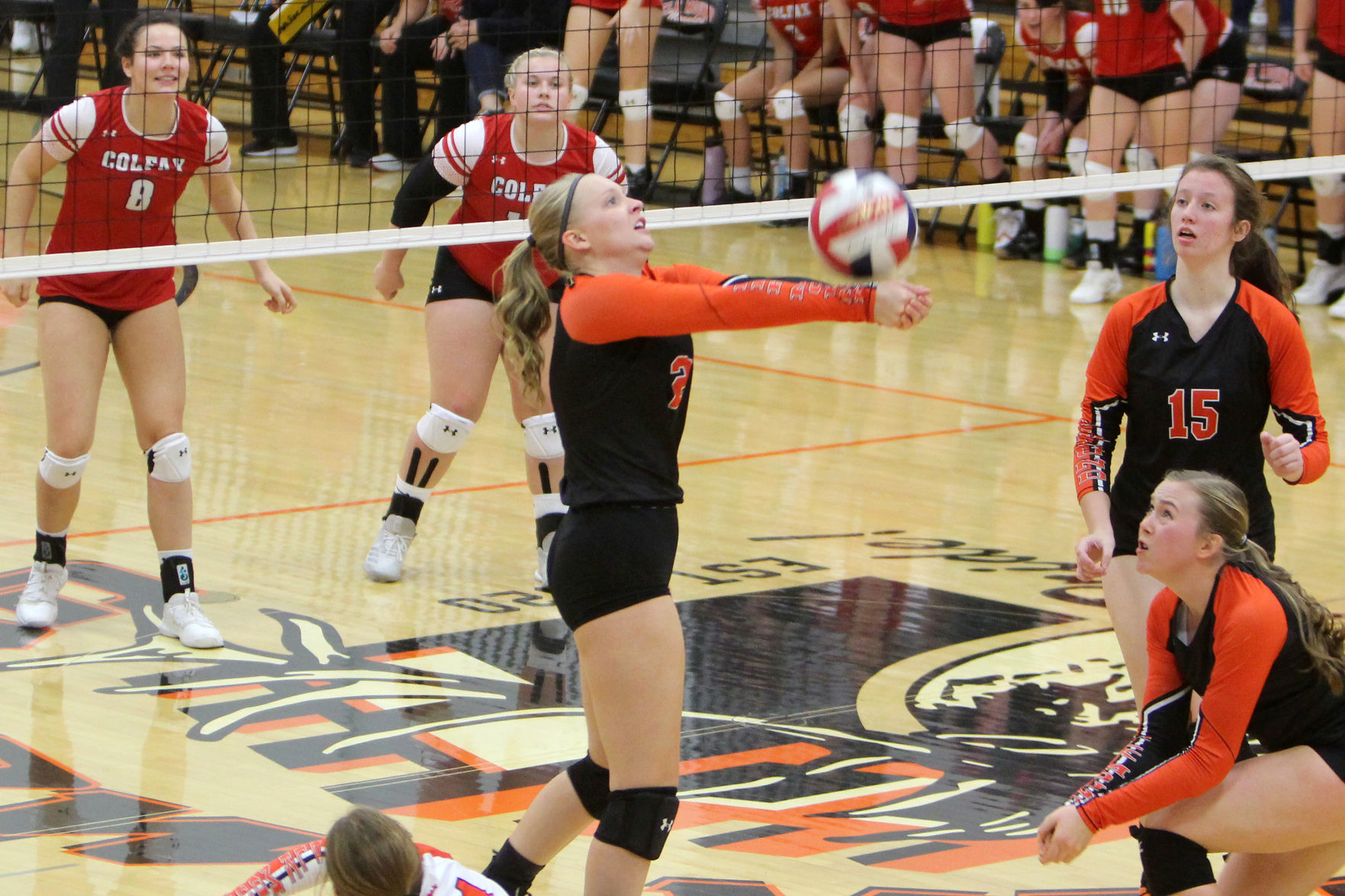 Colfax at Elk Mound volleyball 10-17-19